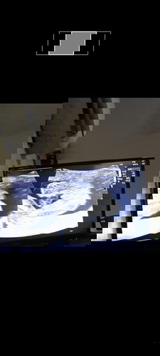 Gender. Is it a Boy or Girl?