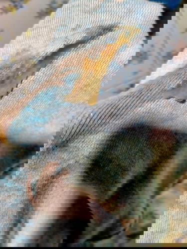 สอบถามหน่อยค่ะ