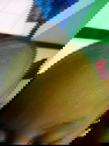 Merintis i tidak hilang hilang