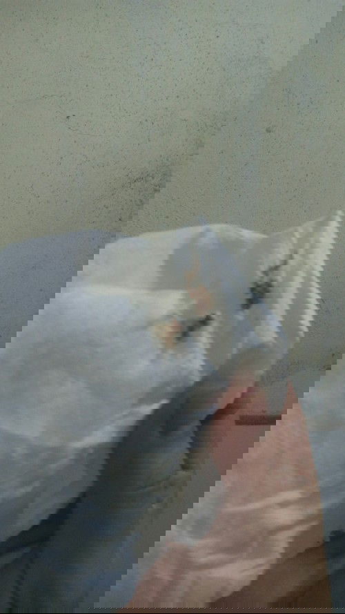 39w1d.dấu hiệu chuyển dạ