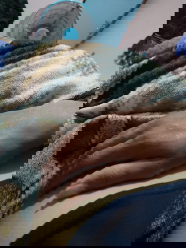 คุณพ่อบ้านไหนเป็นแบบนี้บ้าง?