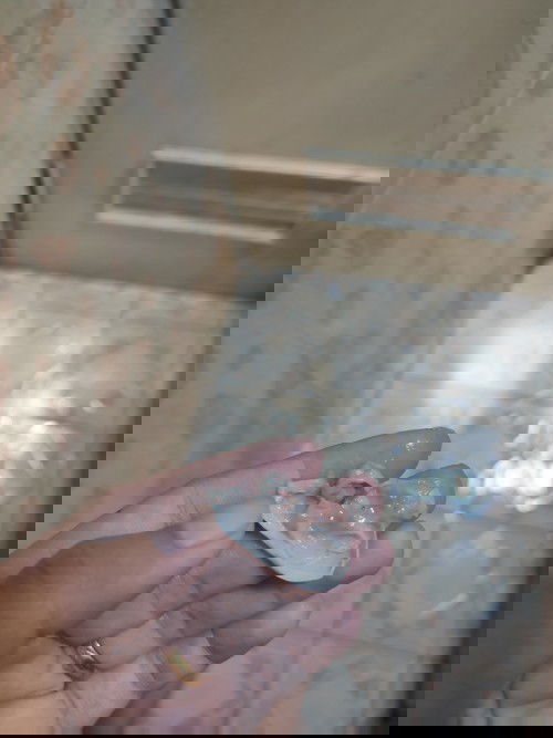 Keluar keputihan seperti lumpia saat hamil 13week tanda apa ya?