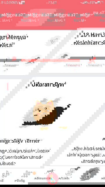 Deg deg an menjelang lahiran