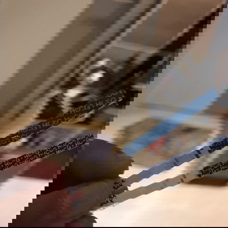 ขอถามเเม่ๆหน่อยคะ