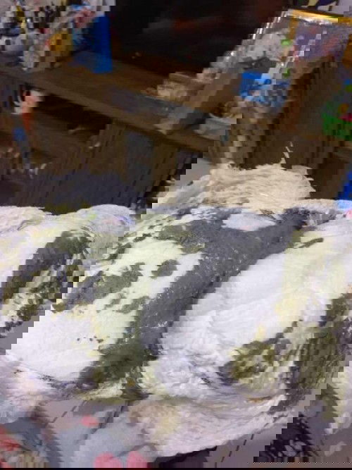 Anak sy usia 5bln dan full sufor morinaga, sudah 3 minggu terakhir pup nya lebih sering warna abu-abu. Normalkah mom?