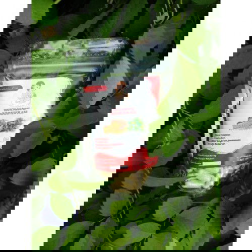 Lebih bagus yang mana, yang paling terasa efeknya bun?