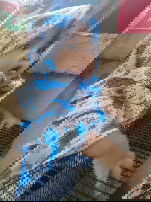 Bagaimana cara menghitung usia real anak lahir prematur ?