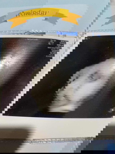 บ้านไหนทีมธันวาบ้างค่ะ