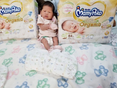 หนูชื่อปังปังคร้า