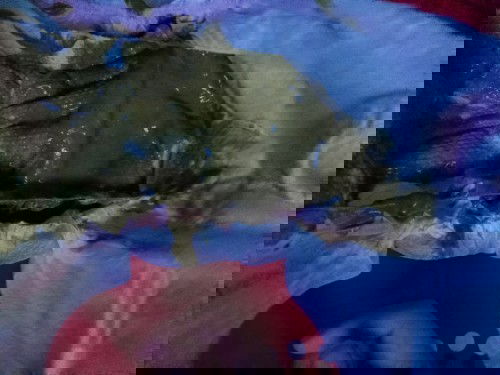 mommies tanong ko po popo ni love ganyan po basa na ewan po .gatas nya po s26 2months old na po.TIa