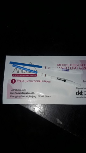 Tes 2 hari berturut turut, haid saya tidak menentu apakah ini positif ya bun?di badan biasa saja