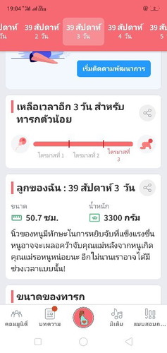 แม่ทีม พ.ย