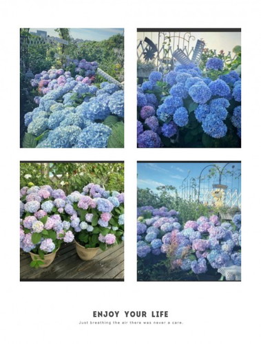 Hôm nay lại nhớ lại về những bức ảnh đẹp 😙