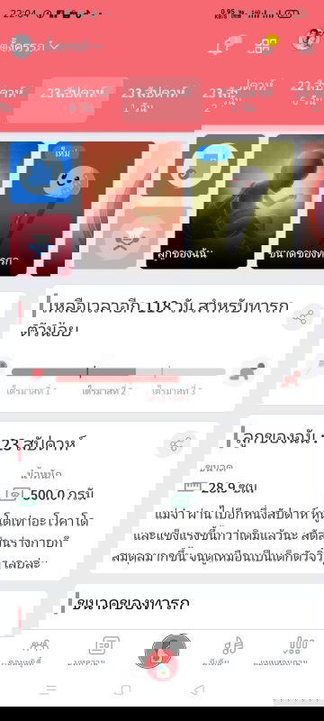 ของคนมีประสบการณ์หน่อยนะคะ