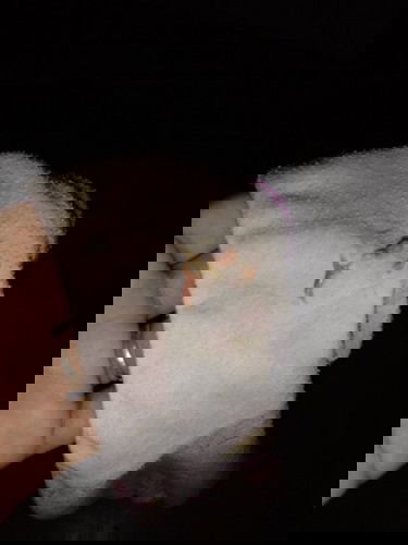 Napapraning na talaga ako😭