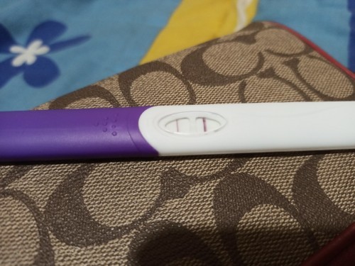 เมื่อลูกกลับมาอีกครั้ง