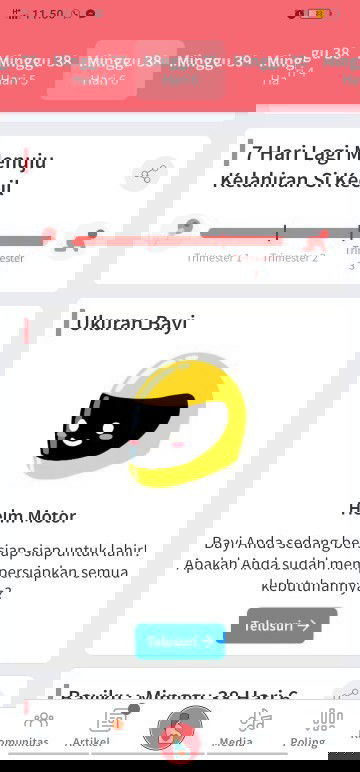 UK. 38wk blm rasain gelombang cinta