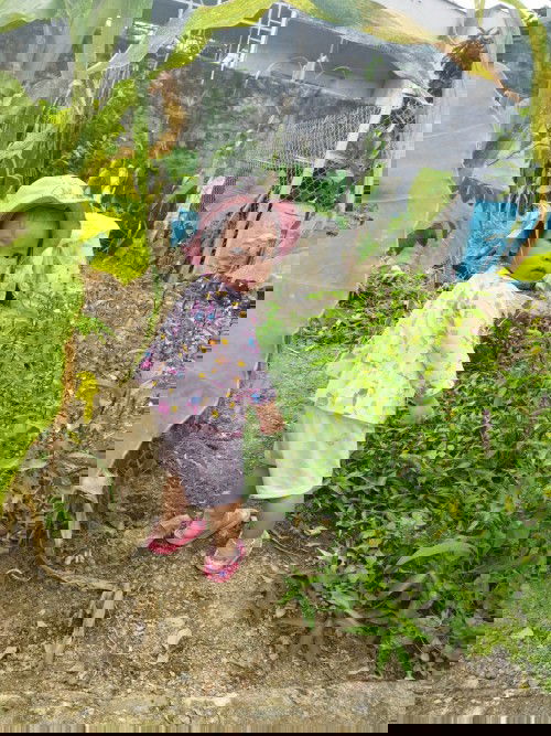 Bảo hiểm trẻ dưới 6 tuổi