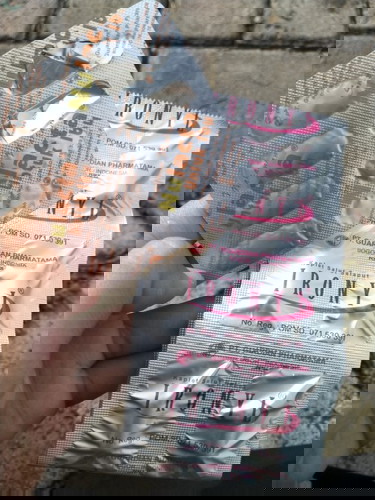 Vitamin hamil