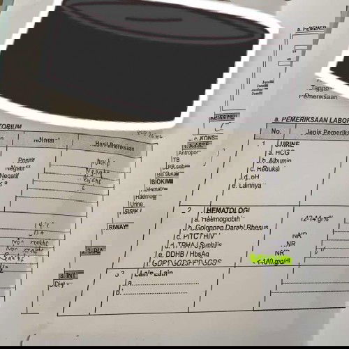 Hamil dengan hepatitis B