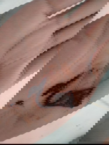 Jaringan tanda keguguran dini kah?