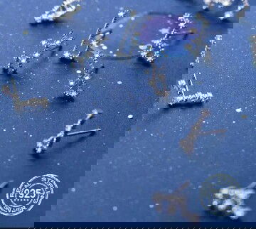 Anting ZODIAC perak asli sterling silver 925