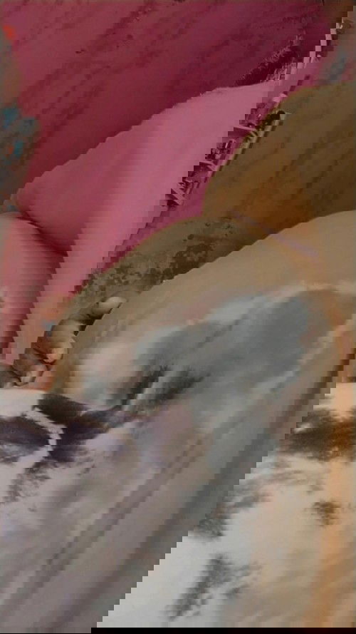 Perut saat kehamilan