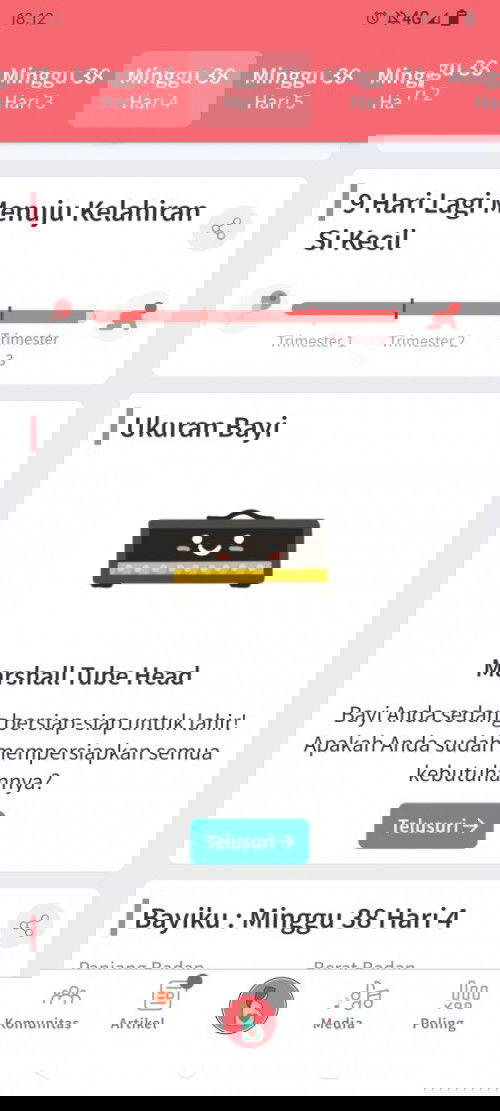 Mendekati persalinan