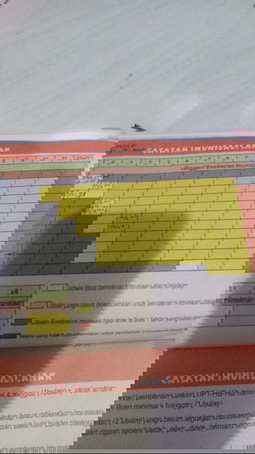 imunisasi anak telat