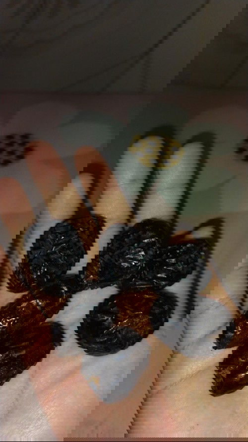 Awal hamil dan akhir hamil