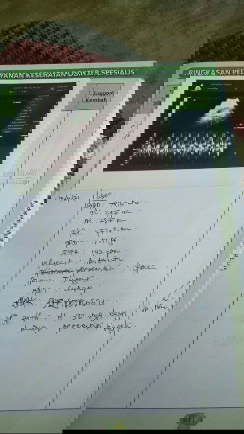 Hasil USG "cara meningkatkan BB janin?"