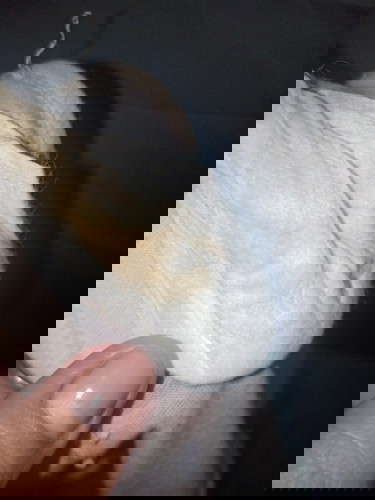 CURIOUS AND WORRIED.