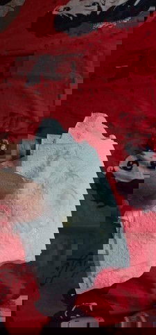 สอบถามผู้รู้จ้า