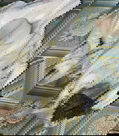 Bayi 4 bulan 24 hari