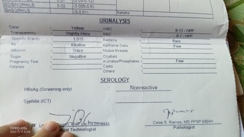 Labaratory Report