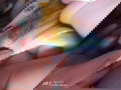 ลูกอึเป็นมูกเลือด(ขออภัยในความไม่สุภาพของรูปภาพนะคะ)