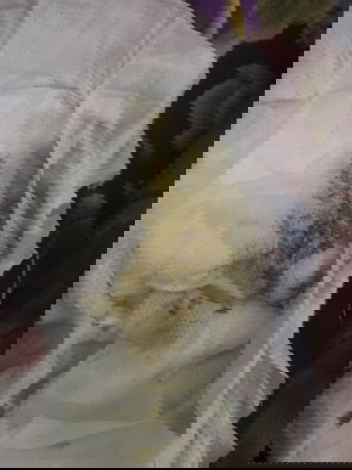 Cứu nguy em với các mom