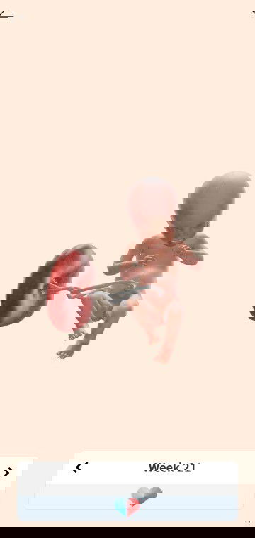 My 21 weeks pregnancy journey