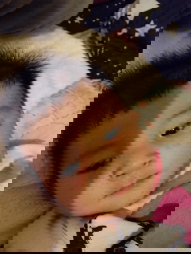 ไข้กุหลาบสาระน่ารู้