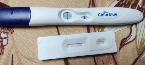 Adakah ini hamil?saya amat keliru. Tolong bantu saya.