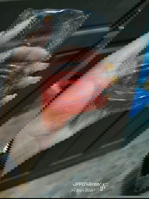 Urine kemerahan kenapa ya?