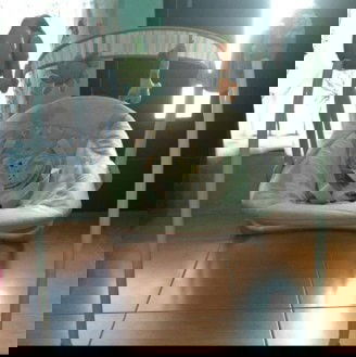 Preloved baby Elle swing