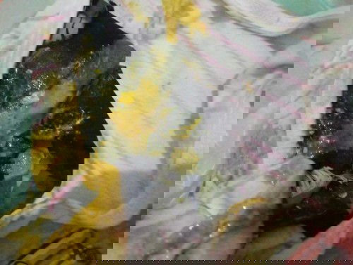 Pup wajar atau tidak