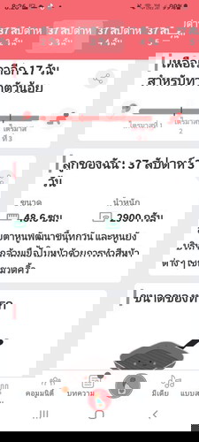 หมอนัดผ่า11/17