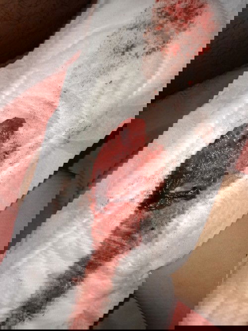 วางแผนมีลูก