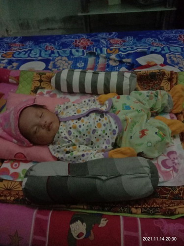 Perlindungan bayi dari nyamuk