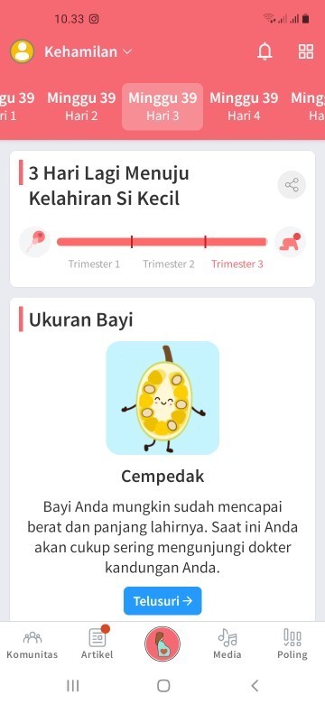 Kehamilan usia 39 minggu