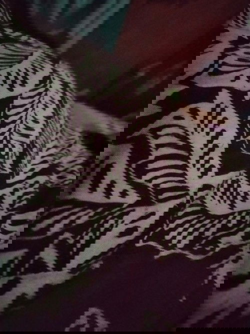 Usia 7 bulan perut masih kecil