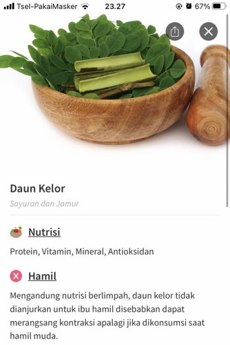Daun Kelor