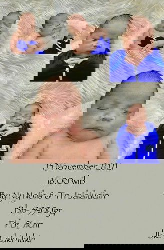 Telah lahir bayi mungil